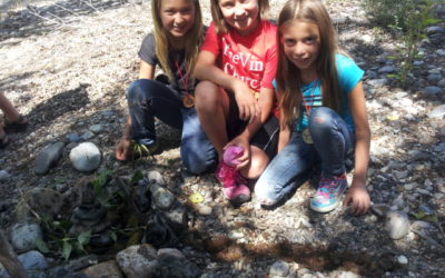 Junior Explorer Program Begins June 22nd