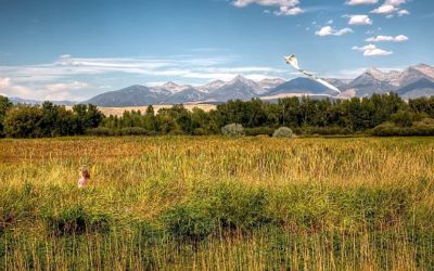 Looking Back at 2018