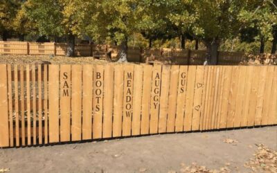 Looking for a way to honor your pet? Look no further- Dog Park Fence Fundraiser!